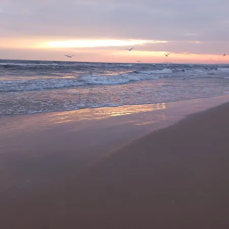 Uns Luett Huus - Whg 2 Strandnah Apartman